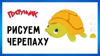 Как нарисовать черепаху