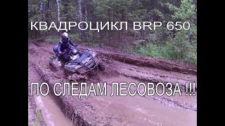 Квадроцикл BRP 650 . По следам лесовоза.