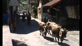 Alpabfahrt Alp Kohlschlag Mels 2010