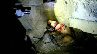 Explorer dog 5000's first underground mission