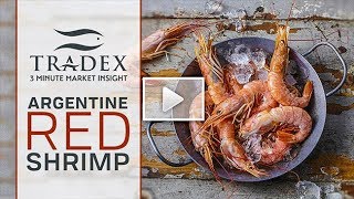 3MMI - Argentine Red Shrimp: Strike Delays, High Demand, Strong Pricing