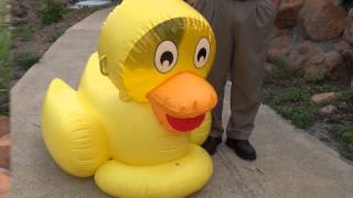 Rubber Duck Race