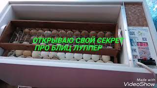 Инкубатор норма ЛУППЕР  - МОЙ СЕКРЕТ❗