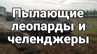 ПЫЛАЮЩИЕ ЛЕОПАРДЫ! Следующие Челенджеры