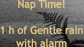 Gentle summer rain 1 hour + wake- up buzzer 1 min - Best Ambient nature sounds for napping