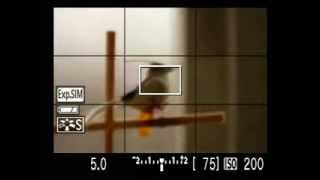 Canon EOS 40D Live View