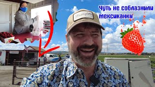 Приключения русского дальнобойщика в Калифорнии!!!????????
