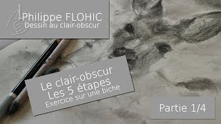 Les 5 étapes du clair-obscur, exercice pratique, la biche dans la prairie - vidéo 1/4