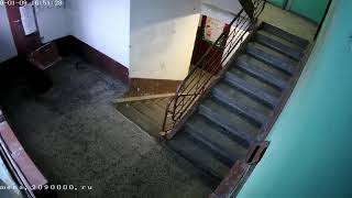 Урод ссыт в подъезде 09.01.19
