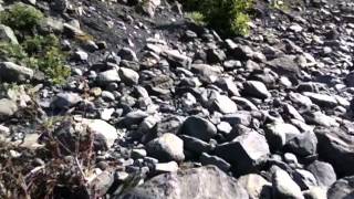 Hiking to the Portage Glacier in Whittier Alaska :)