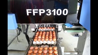 NABEL - FFP3100 - เครื่องเก็บไข่ Farm Packer ขนาด 30,000 ฟอง/ชม. รุ่นมาตรฐาน ฉบับเต็ม