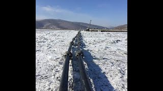 Воду из Байкала выпьют китайцы и корейцы.