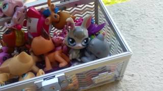 LPS - Trade Video!!