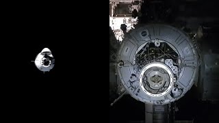 SpaceX Crew-1 docking