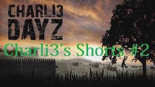Charli3's Shorts #2 - DayZ Standalone