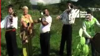 flore de la luncsoara live