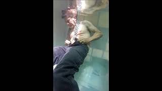Underwater swimming man  2020c