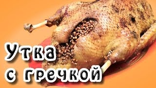 Утка с гречкой