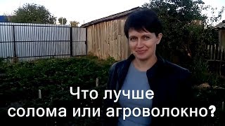 Что лучше для клубники солома или агроволокно / Выращивание клубники