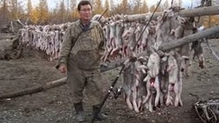 Приколы охота на зайца Вы такого не видели Часть 6