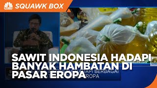 Sawit Indonesia Hadapi Berbagai Hambatan Di Pasar Eropa
