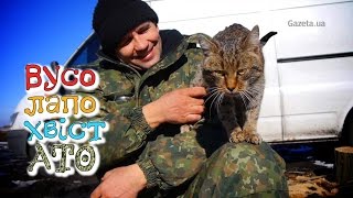 Вусолапохвіст в АТО: в бліндажах живуть собаки, коти та гуси