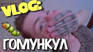 VLOG: ГОМУНКУЛ. Перданула в лицо! / Андрей Мартыненко