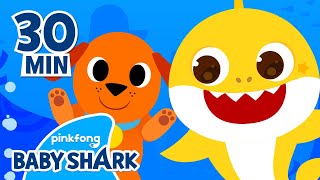 Baby Shark and Animal Songs | +Compilation | Baby Shark Songs 