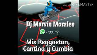 Reggaeton, Cantina mix y Cumbia Grupera