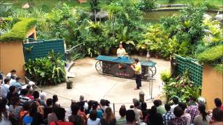 Malaysia Zoo Bird talent Show
