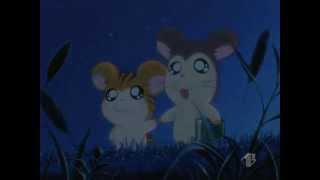 Hamtaro - TigraxTantasà (+ sottotitoli ITA)