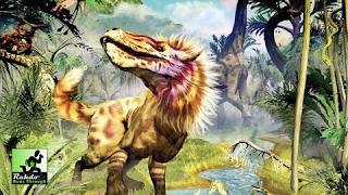 Evolution Final Thoughts