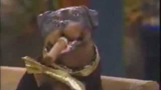 Triumph the Insult Comic Dog on Leno 2003