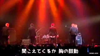 Salary Man / Chrome Jacks  歌詞付き
