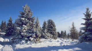 Создание снега на диораме / Making snow on a diorama