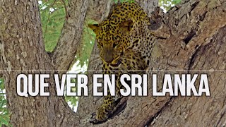 Viajar a SRI LANKA ?? 10 lugares que ver en 2019