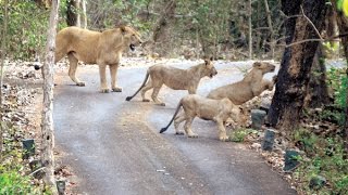 National Park Borivali | fahim vlog | Mumbai