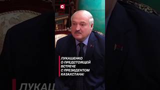 Лукашенко: После этого визита тот миллиард товарооборота окажется смешным! #shorts #лукашенко