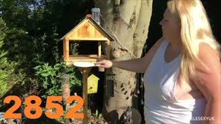 ADELESEXYUK FEEDING HER BIRDS EARLY IN THE MORNING