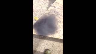 Granit Stain Test - Spray Paint