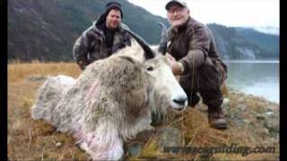 Mountain Goat Hunts by Southeast Alaska Guiding