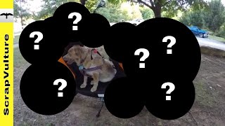 GOT A NEW SCOOTER - Let's THRIFT STORE GALORE Video! (DUMPSTER DIVING)