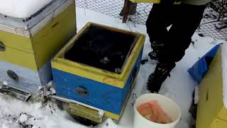 Зимовка пчел 2018 год. Зимовка в 1 корпусе рута