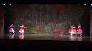 Lívia Faber - Ballet Barbie e as Sapatilhas Mágicas - Amigas de Swanilda