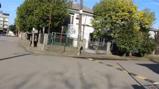 05 03 2019 мимоза цветет переулок Казбеги Кобулети ქობულეთი Аджария Грузия