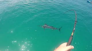Jet ski fishing a flash back to Fraser Island