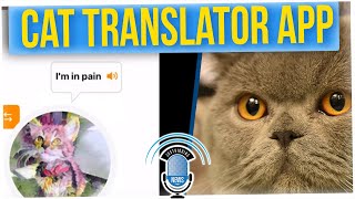 Cat Noises Can Now Be Translated Through A New App...