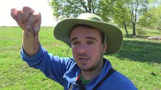 На глубине 20см! РЫБАЛКА на КАРАСЯ в РАЗЛИВАХ | Серия 2