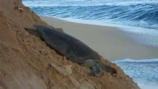 Ascension Island 2013