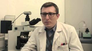 TNS - Zawody - Sezon 1: Diagnosta Laboratoryjny
